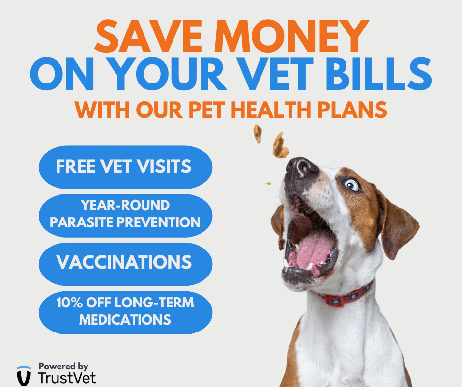 Our best sale pet vets