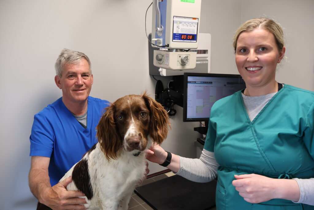 Vet Services In Kildare